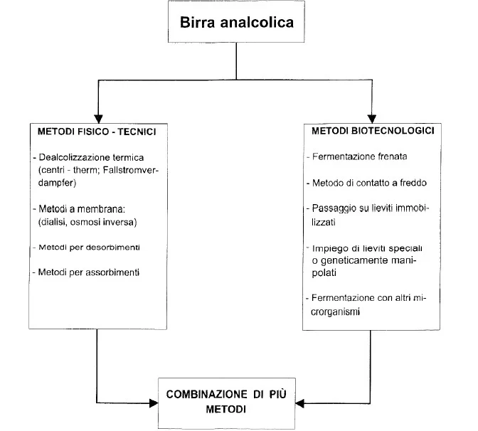birra analcolica la staffetta ets
