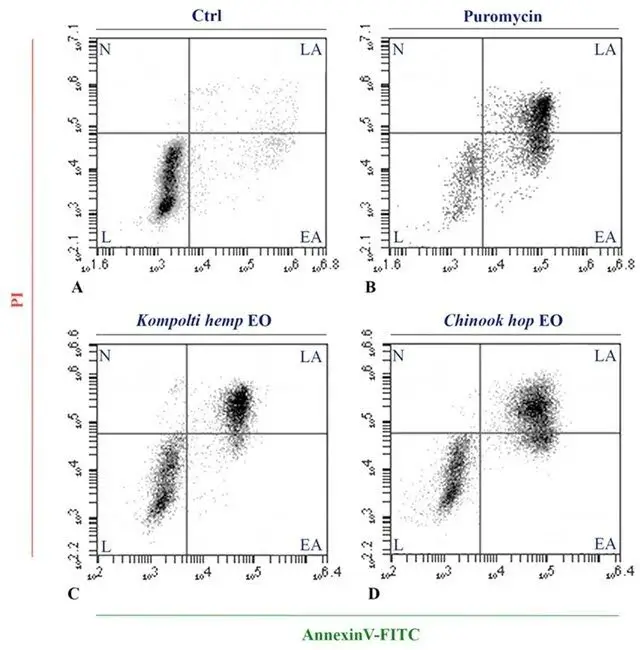 Olio essenziale e idrolato di canapa (Cannabis sativa L., Kompolti cv.) e luppolo (Humulus lupulus L., Chinook cv.): indagine chimica mediante HS-GC-MS e valutazione dell'attività apoptotica.
