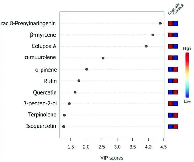 Profilo metabolomico e proteomico di infiorescenze di luppolo essiccate (Humulus lupulus L. cv. Chinook e cv. Cascade) mediante SPME-GC-MS e UPLC-MS-MS