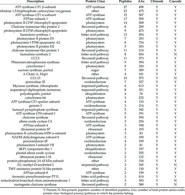 Profilo metabolomico e proteomico di infiorescenze di luppolo essiccate (Humulus lupulus L. cv. Chinook e cv. Cascade) mediante SPME-GC-MS e UPLC-MS-MS
